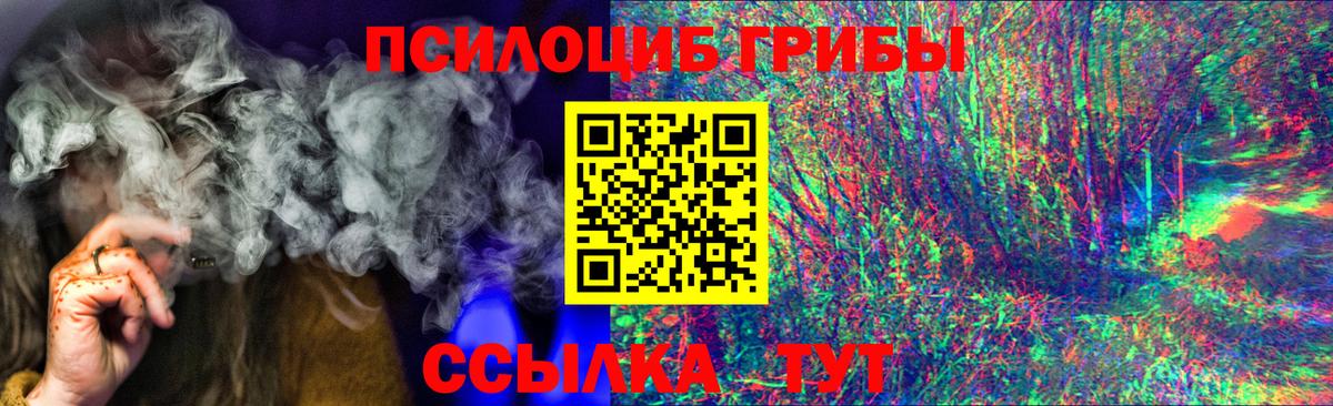 Псилоцибиновые грибы Psilocybe  Вход с VPN  Гусь-Хрустальный  Галлюциногенные грибы Cubensis 