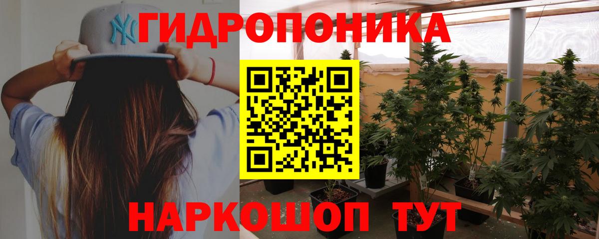 Шишки марихуана индика Гусь-Хрустальный